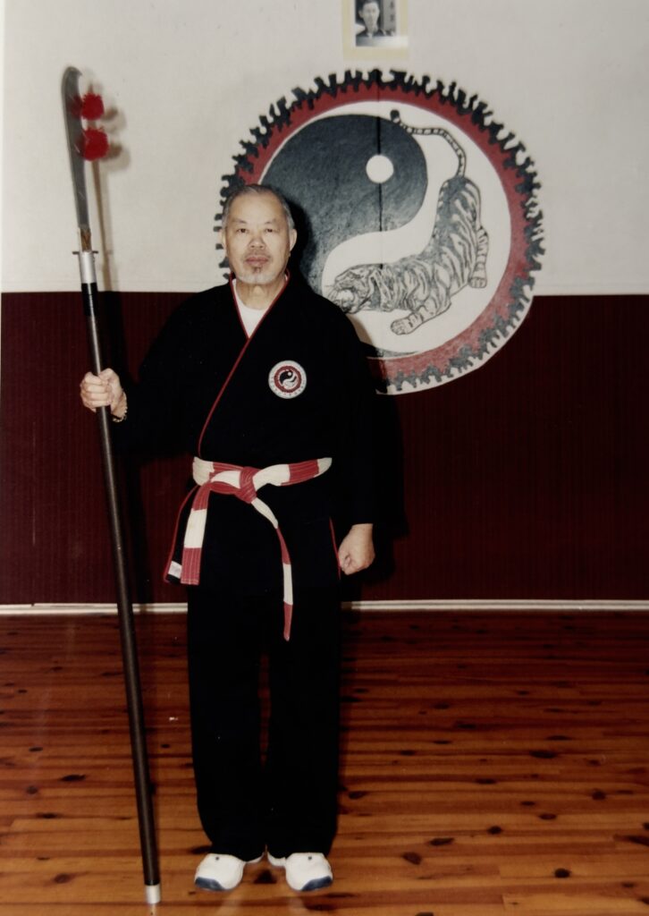 "Cours de kung fu Hung Gar à Lyon