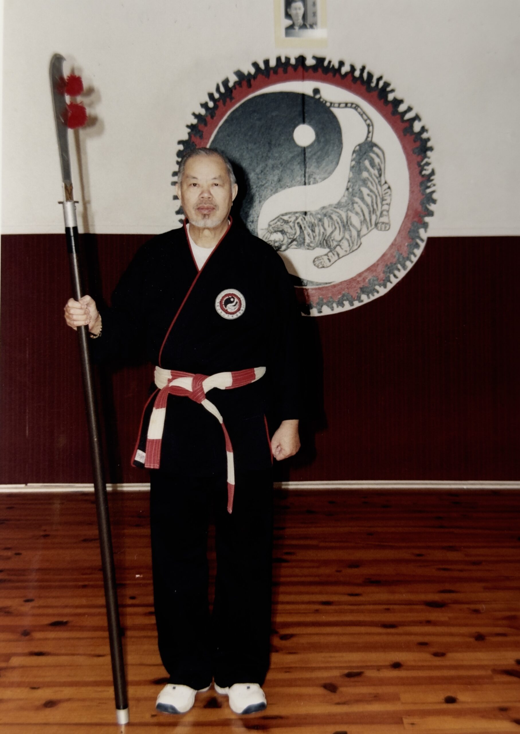 "Cours de kung fu Hung Gar à Lyon